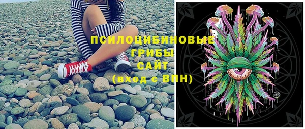сатива Абдулино