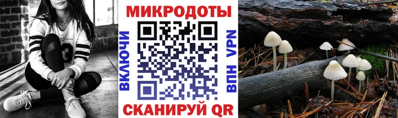 Галлюциногенные грибы прущие грибы как найти закладки Нижняя Салда